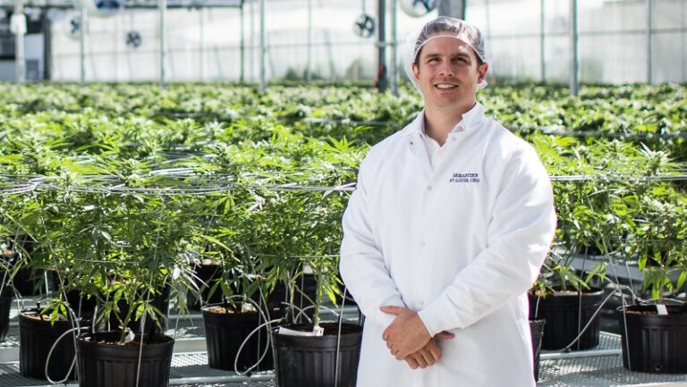 Hexo chief executive Sébastien St-Louis