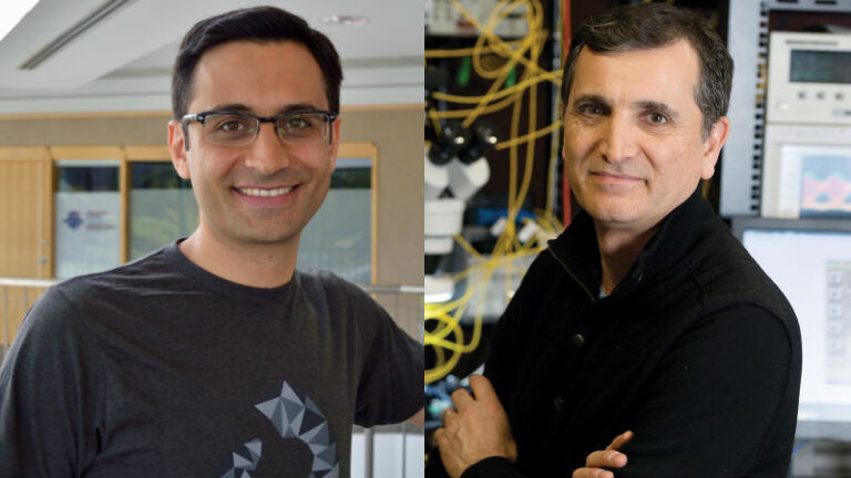 Aali Alizadeh and Hamid Arabzadeh