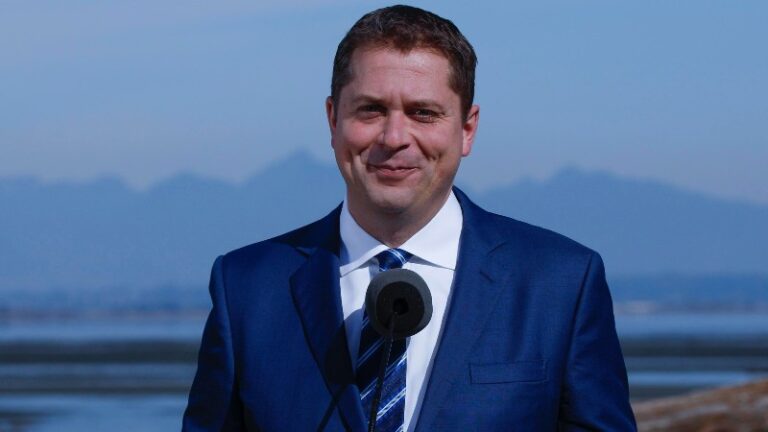 scheer