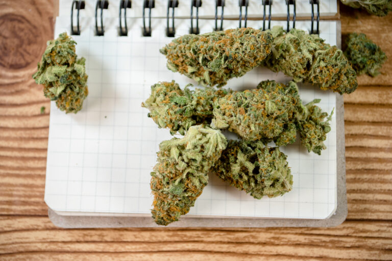 Cannabis