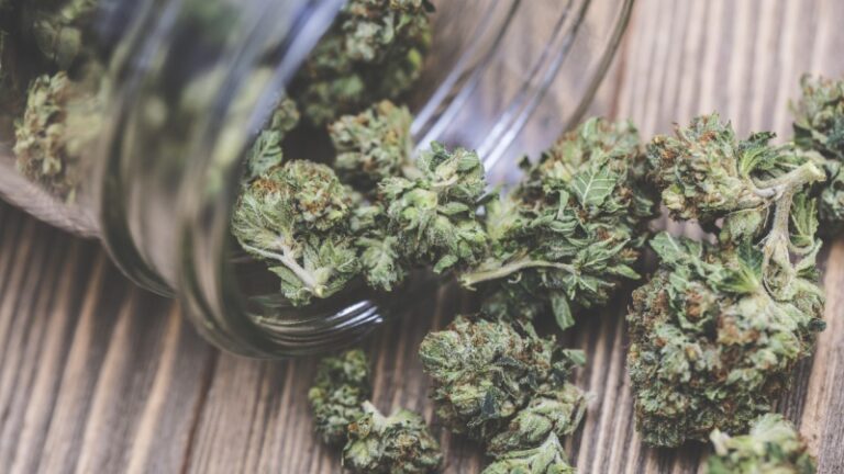 cannabis Act