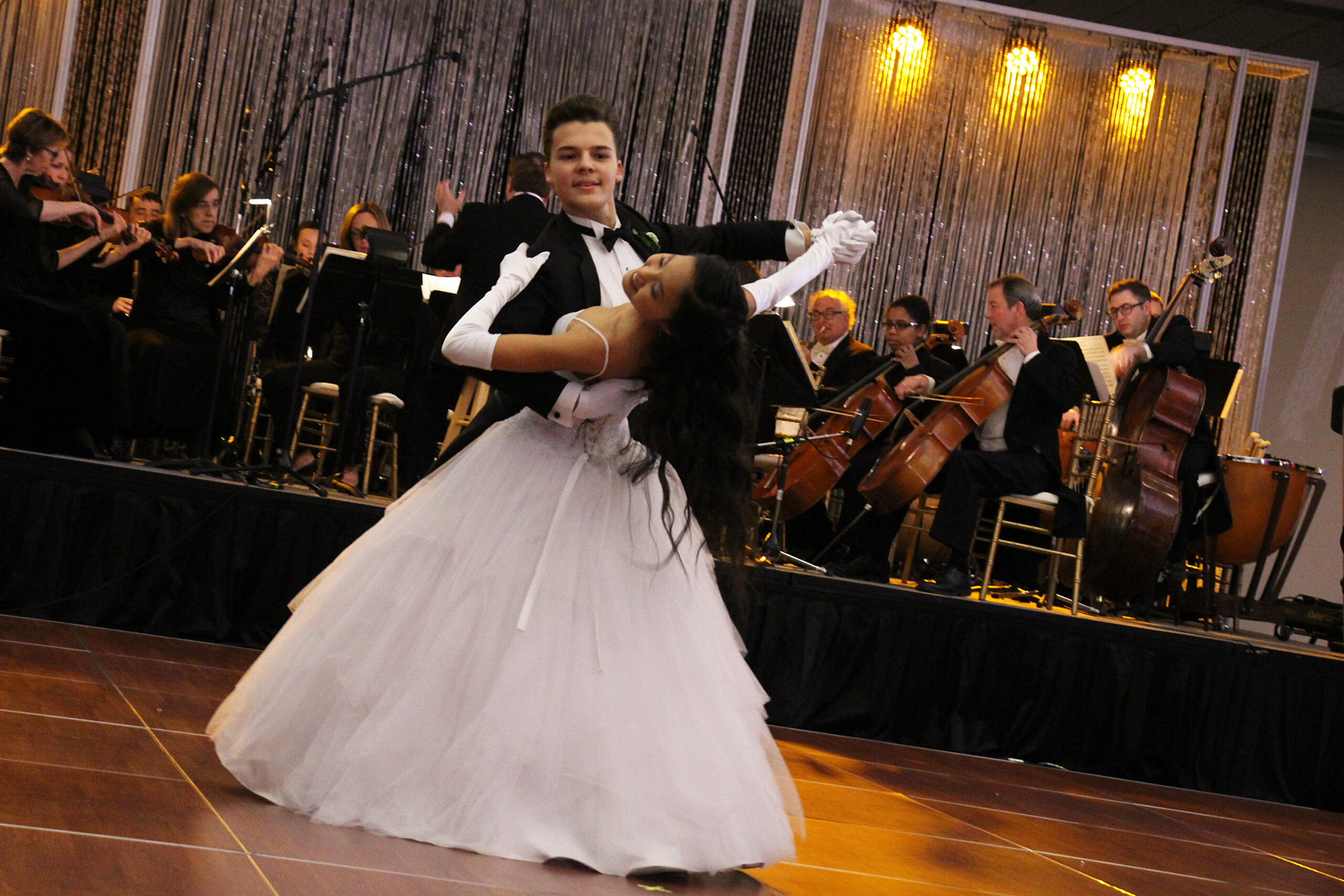 Viennese Winter Ball