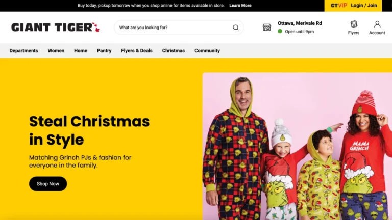 screenshot of Giant Tiger e-commerce website