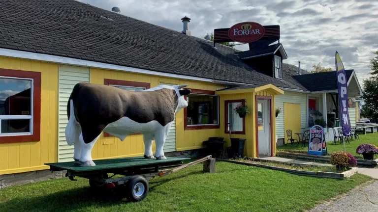 Forfar Dairy storefront