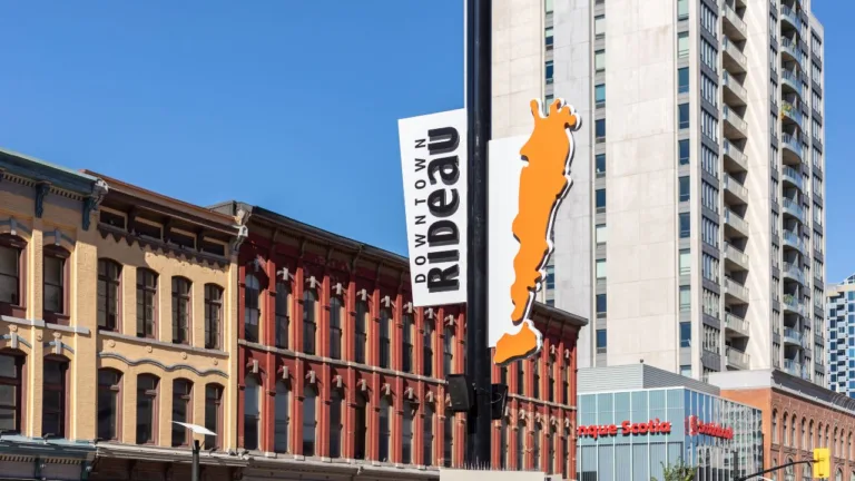 Downtown businesses say they’re not busier, even as federal civil servants begin return to the office