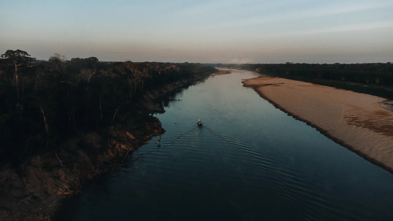 Invert Amazon rainforest image