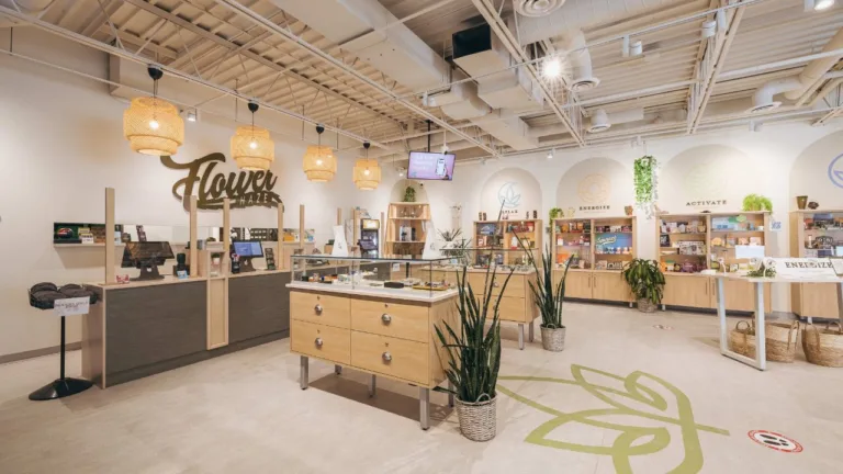 Pot shop owner refuses to be stonewalled by lack of cannabis consumption regulations