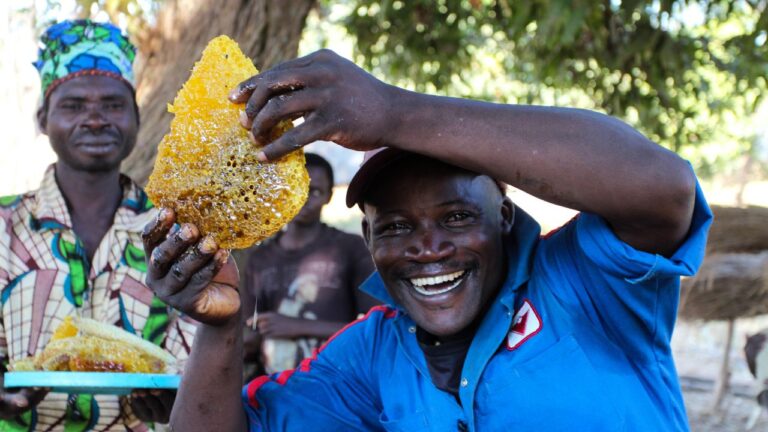 Sweet purpose: Local entrepreneurs work with African beekeepers so that everyone wins