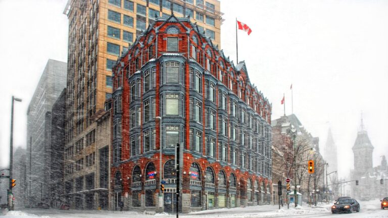 Board of trade encourages residents to take part in consultations on the future of the downtown