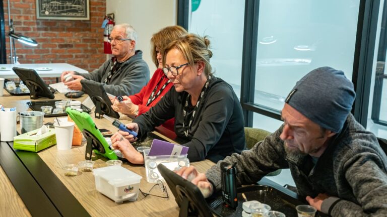 Life after Canopy Growth: These cannabis researchers sensed a new opportunity