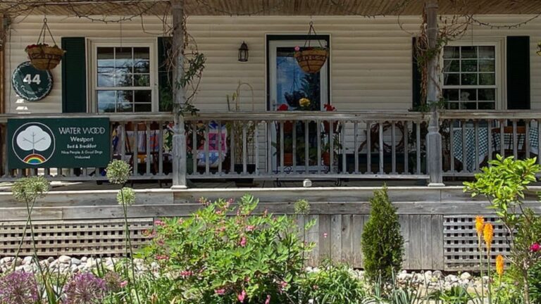 What a trip: Westport B&B owner appeals to the ‘cannabis curious’