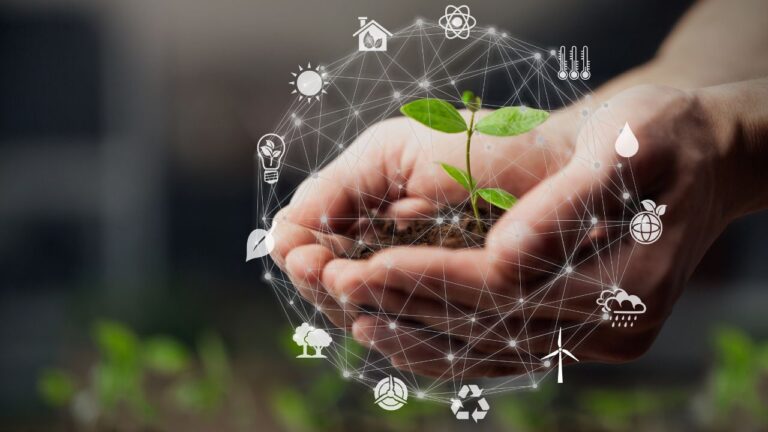 From beekeeping to batteries: How these local companies are prioritizing the environment