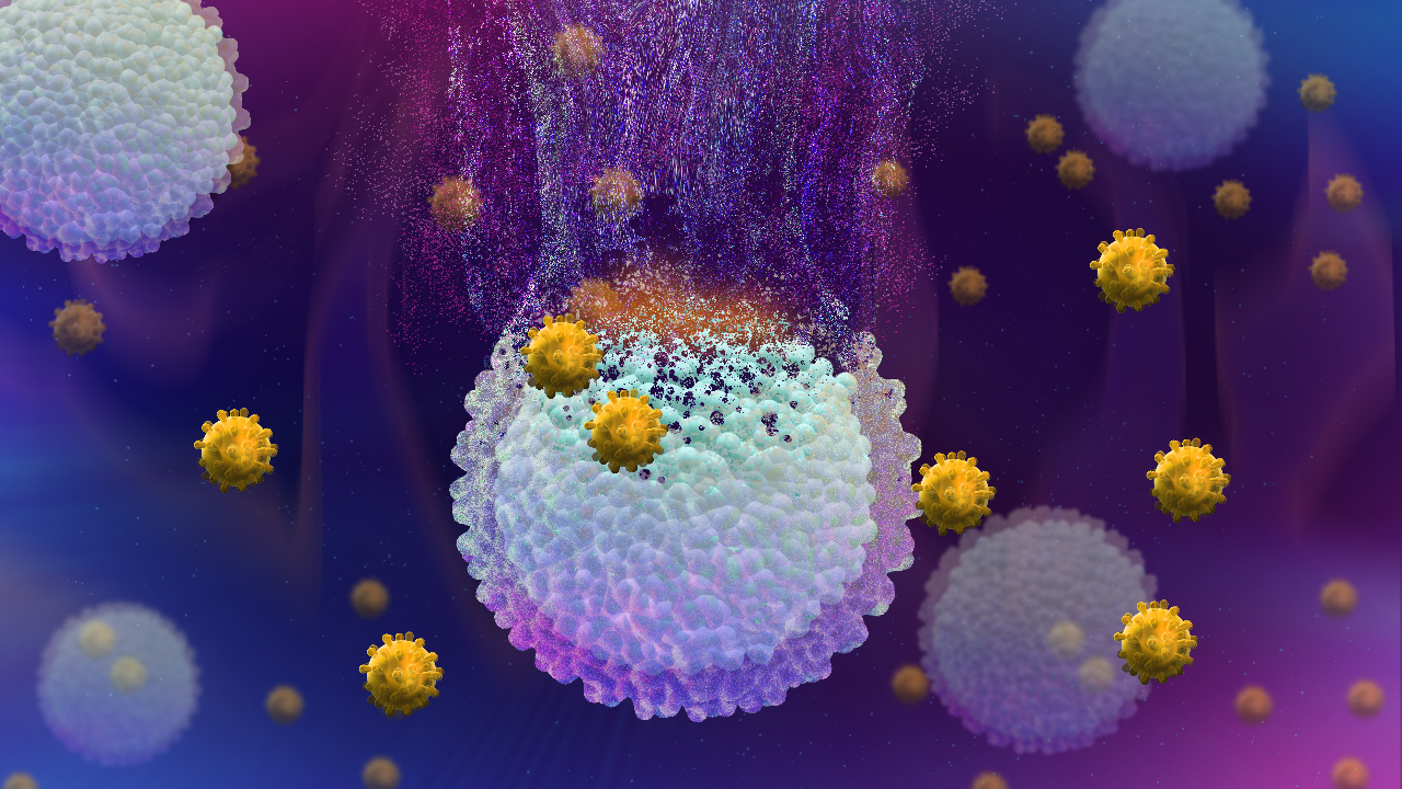 Turnstone stock image