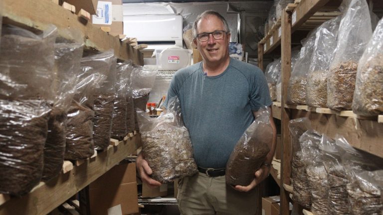 Tasty treatment: Kinburn entrepreneur sells gourmet mushrooms with medicinal benefits