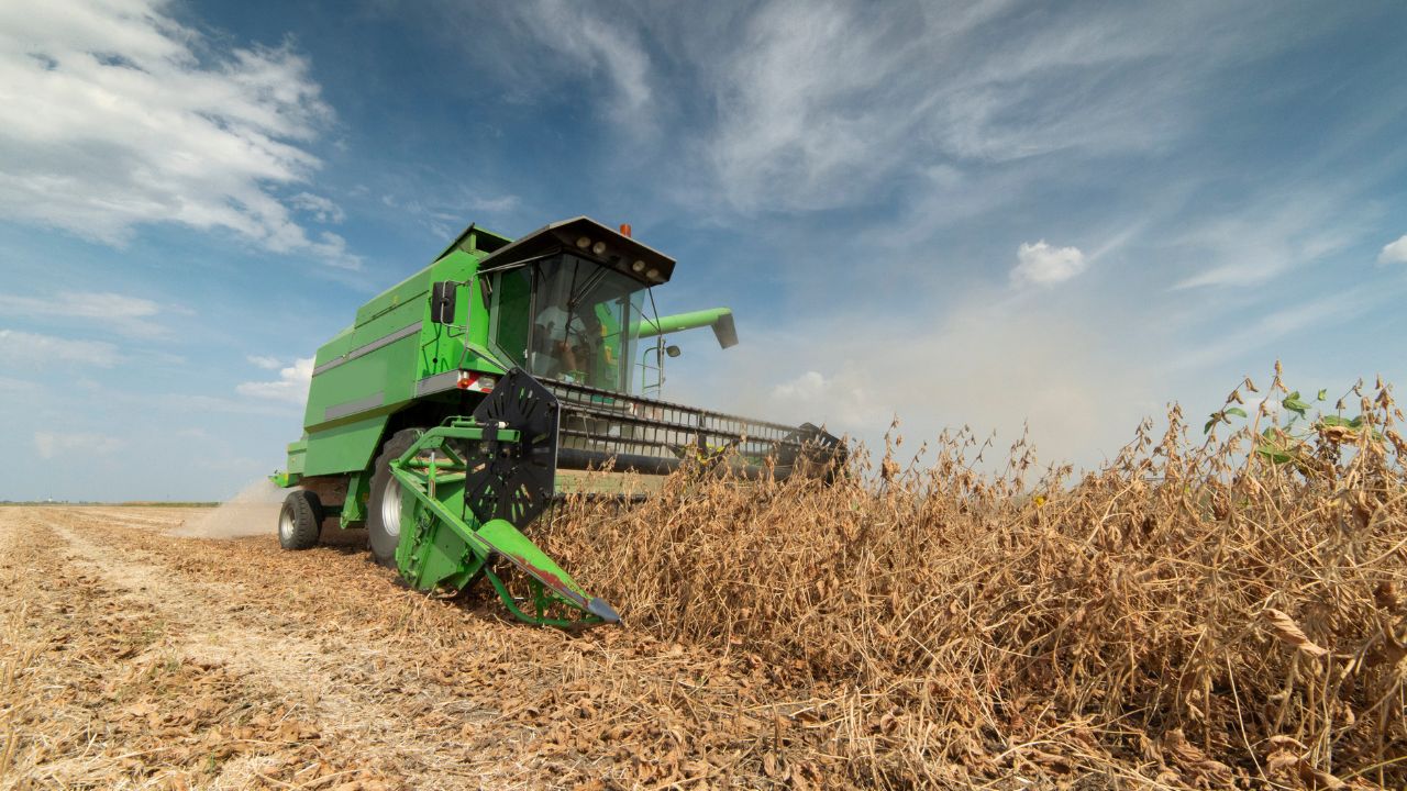 Reliance on exports means the seaway strike causes greater uncertainty, local farmer says – Ottawa Business Journal - Vimarsana News