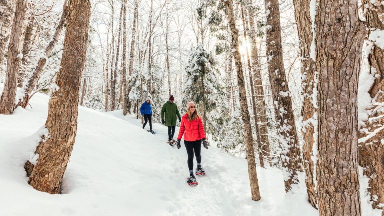 People snowshoeing in a snowy forest in Prince Edward Island.