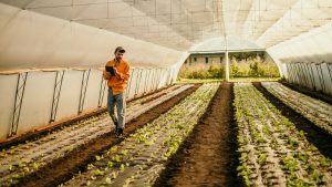 Man working in agriculture