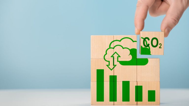 Bushbalm and Level Six share tips towards net-zero