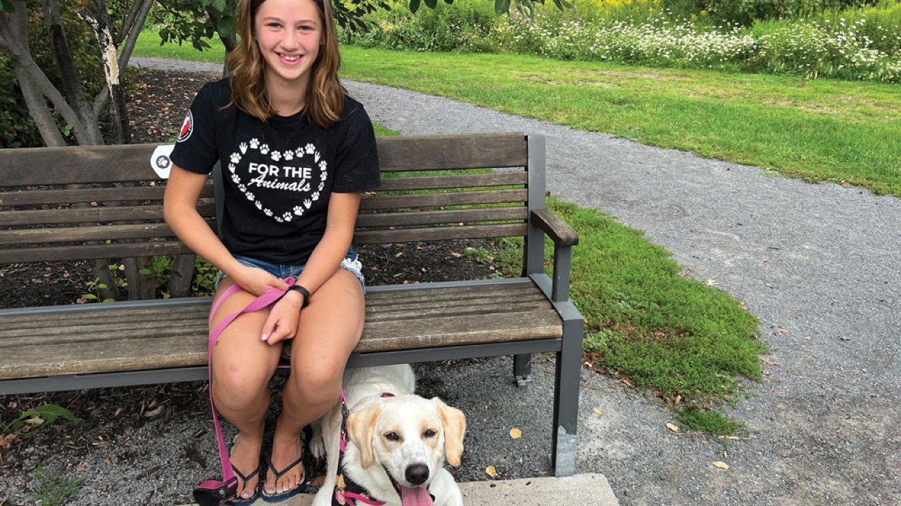 Addison - Ottawa Humane Society, giving guide