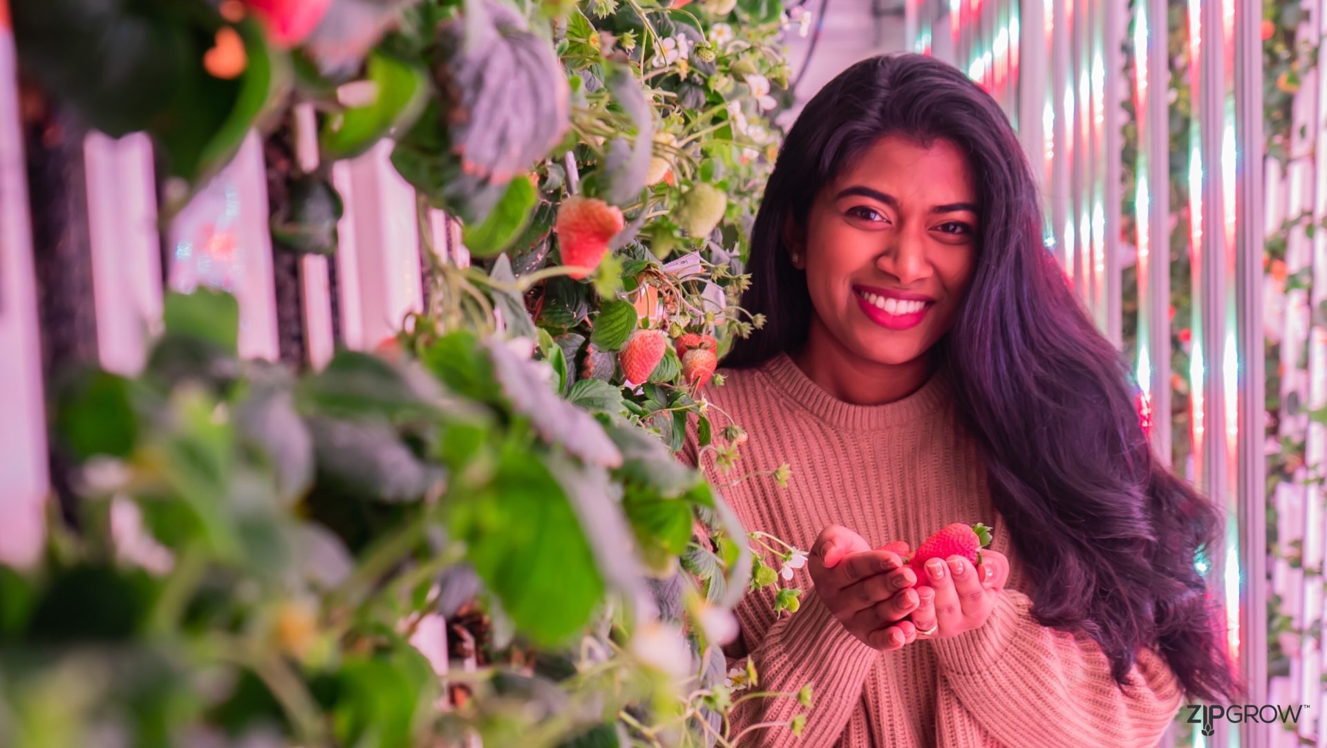 labour shortages in agri-food sector