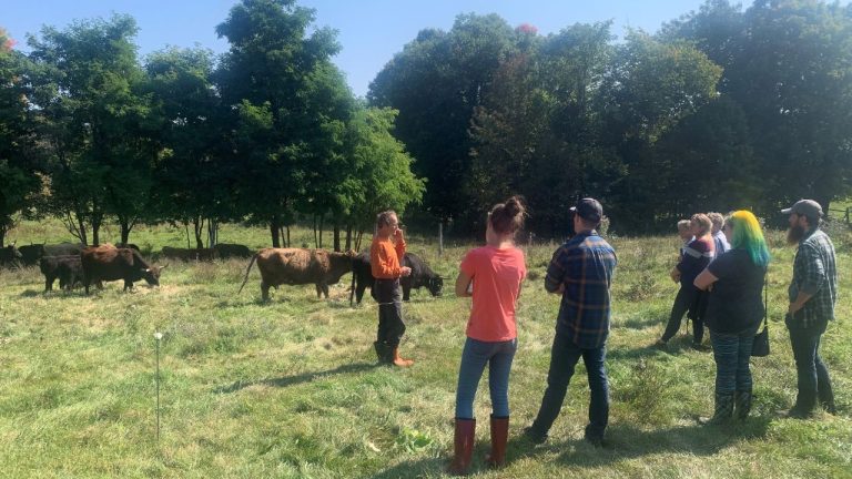 Ottawa Valley Farm to Fork
