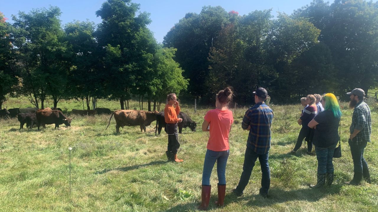 Ottawa Valley Farm to Fork