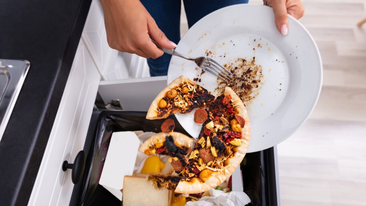Reducing food waste in the capital, one plate at a time – Ottawa Business Journal - Vimarsana News