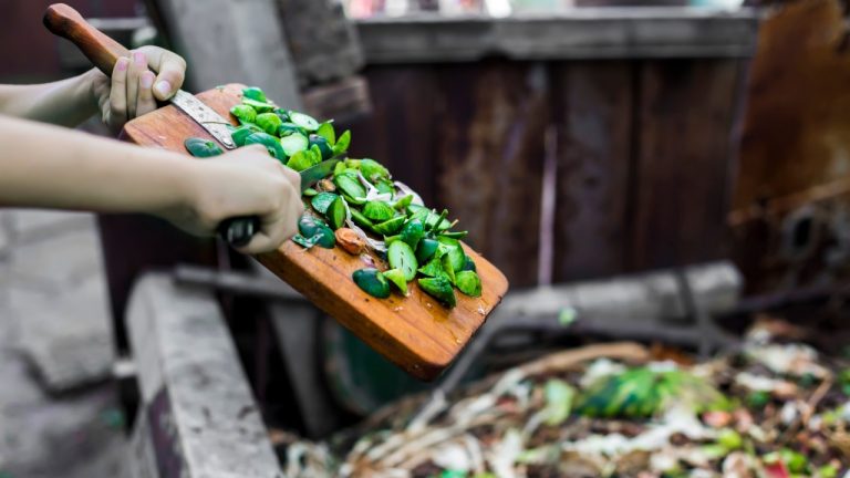 Reducing food waste in the capital, one plate at a time