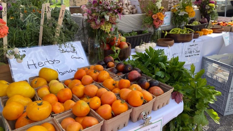 You’ll find the Kemptville Famers’ Market in the parking lot of the B&H grocery store on Sunday afternoons until Thanksgiving. (Photo by Laura Byrne Paquet)