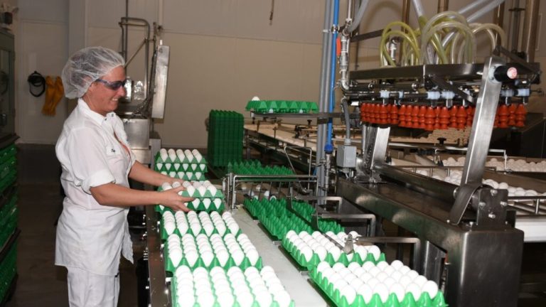 Burnbrae Farms teams up with Canadian Premier League to ‘fuel Canadian players’