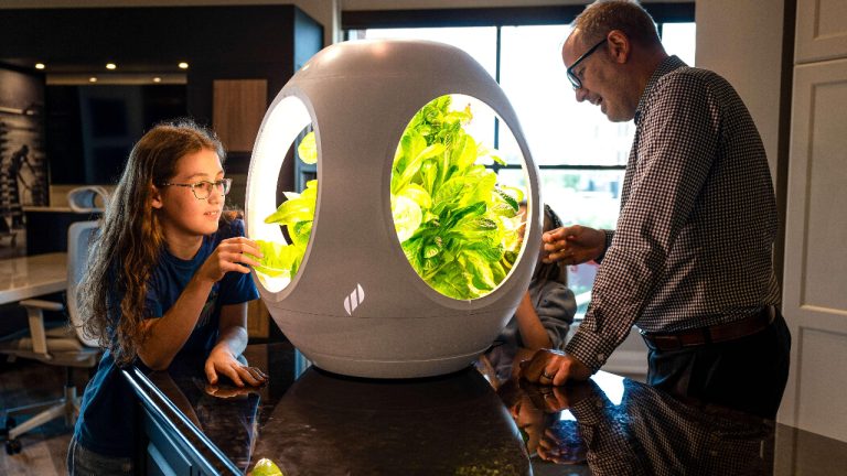 Plantaform pic updated