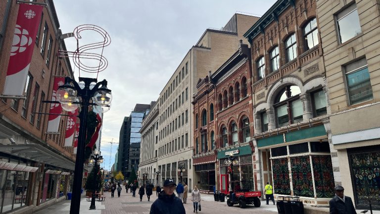 Sparks Street BIA will be renamed Downtown BIA, as it expands its boundaries to more of the downtown core. Photo by Marissa Galko.