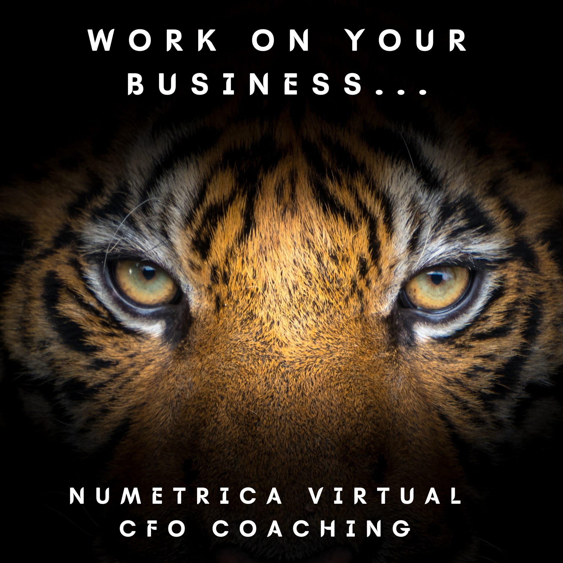 Don’t Let Your Passion Kill Your Business – Ottawa Business Journal