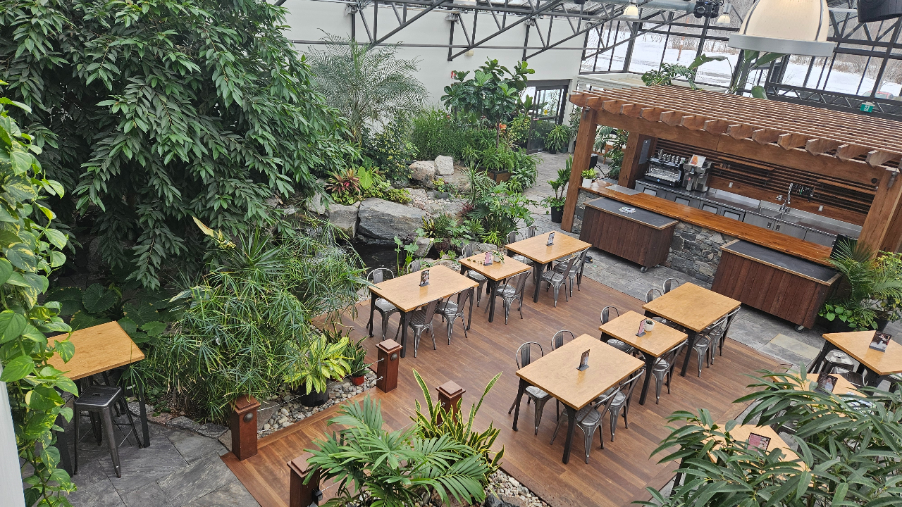 A burbling water feature and towering trees make Aquatopia’s café/bar a unique venue for small gatherings. Photo: Aquatopia Water Garden Conservatory.
