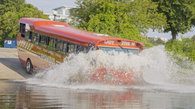 Lady Dive Tours has partnered with Ottawa Boat Cruise. Photo Credit: Lady Dive Tours