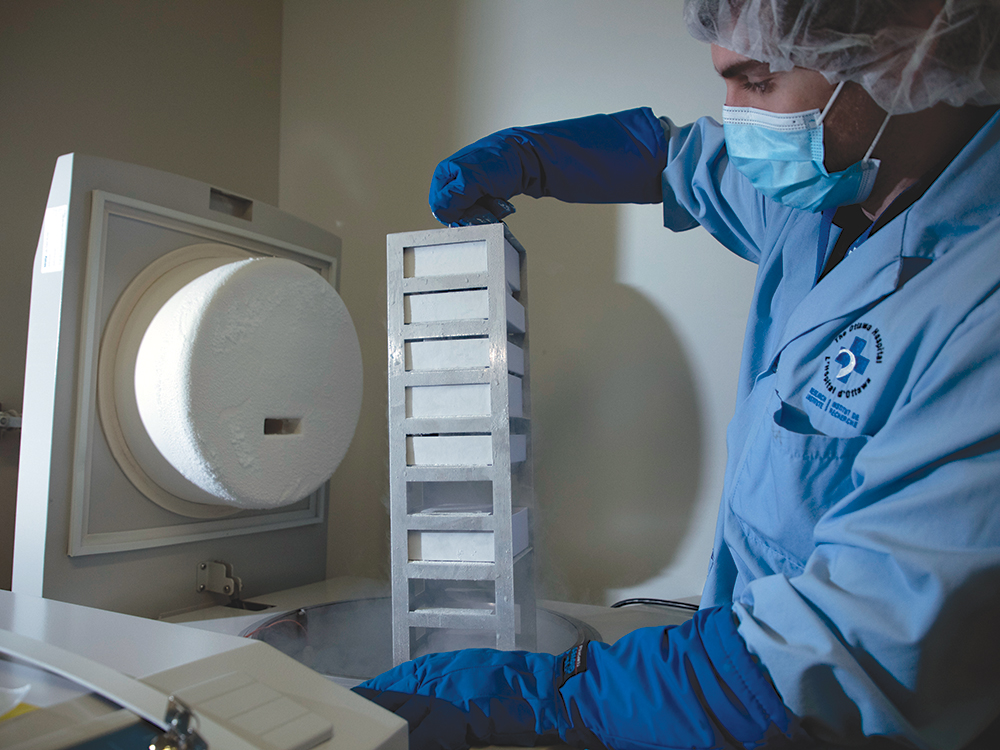 Biotherapeutics Manufacturing Centre (BMC)