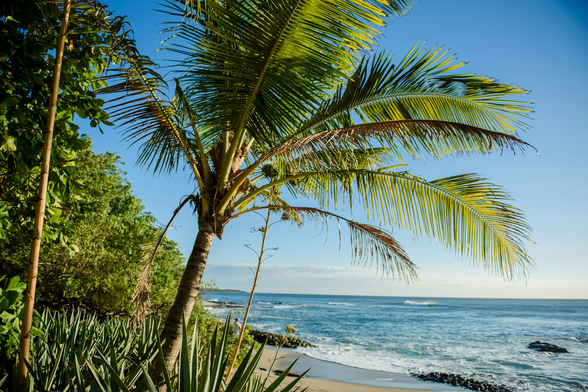 liberia_christina-victoria-craft-Jz61pGx20qw-unsplash